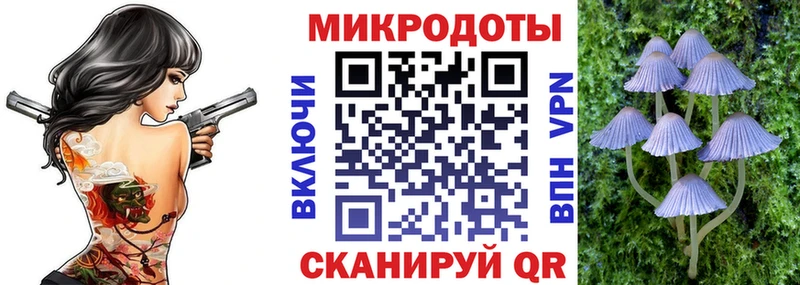 Псилоцибиновые грибы мицелий  купить наркоту  Тайшет 