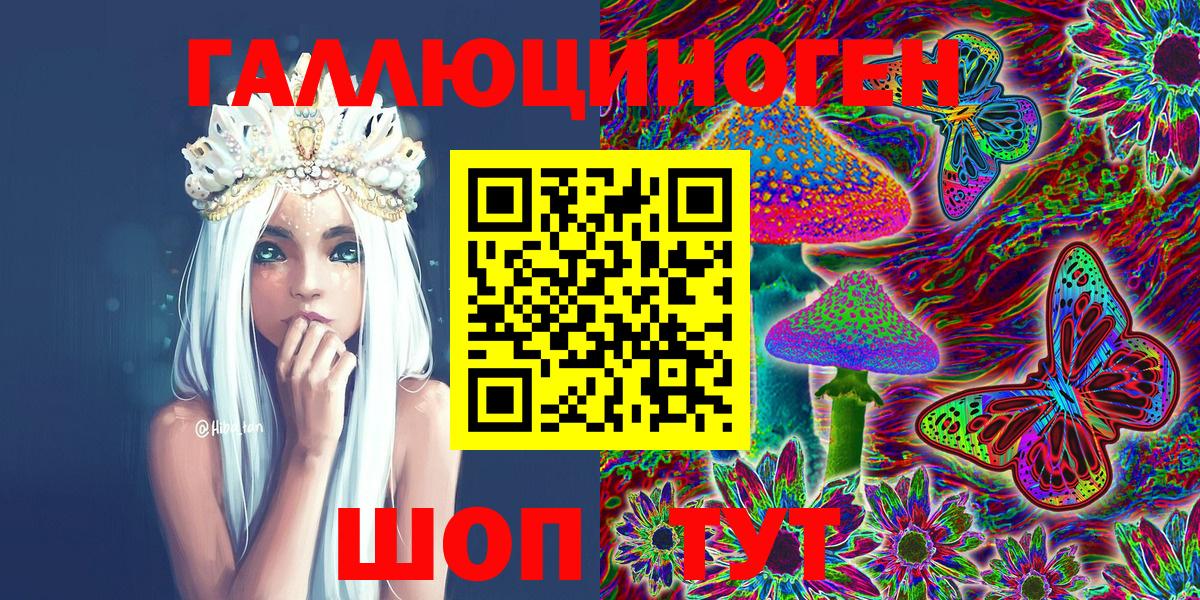 Псилоцибиновые грибы Psilocybine cubensis Тайшет