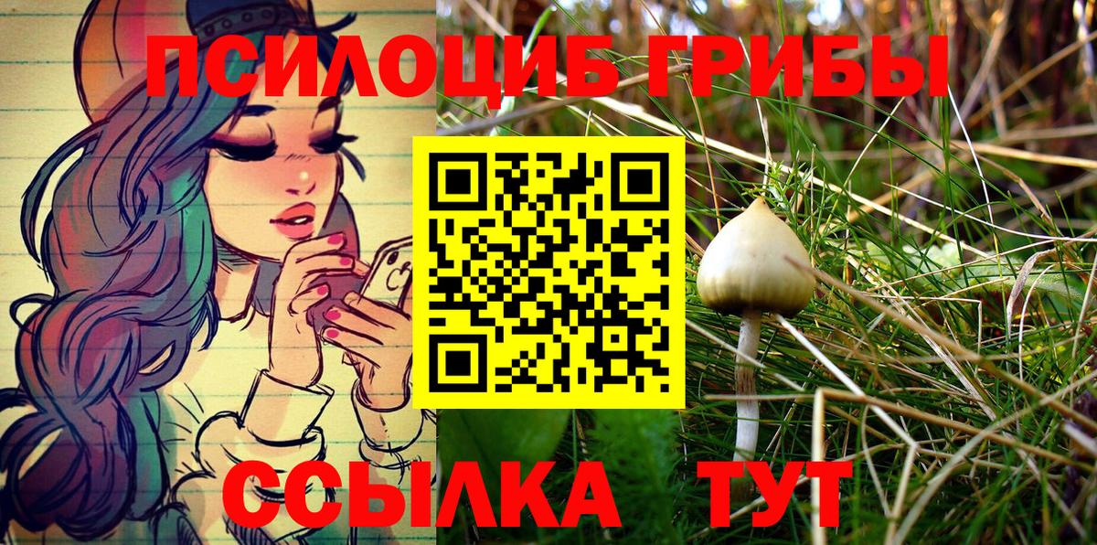 Псилоцибиновые грибы мухоморы  Вход с VPN  Галлюциногенные грибы Psilocybe  Тайшет 